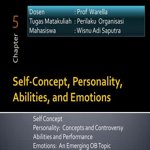 Self concept, personality, abilities, and emotions