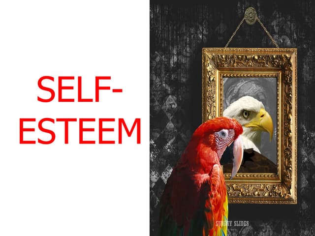 Self esteem
