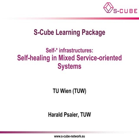 S-CUBE LP: Self-healing in Mixed Service-oriented Systems