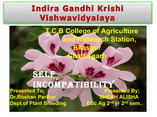Self incompatibility in plants PPT Self incompatibility in plants PPT
