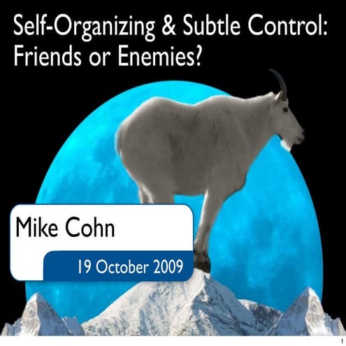 Self-Organization & Subtle Control: Friends or Enemies?