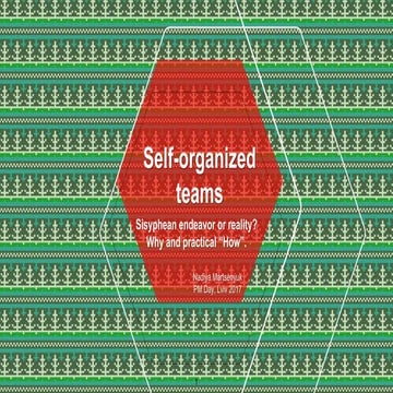 Self organizing team PM day, Lviv 2017