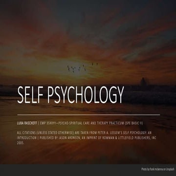 Self Psychology in Brief