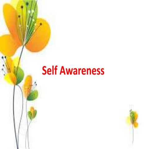Self awareness
