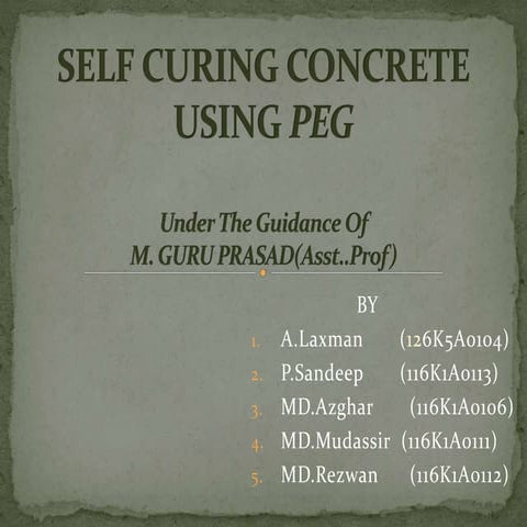 Self curing concrete using peg
