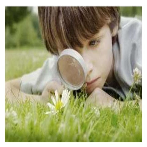 Self Directed Learning