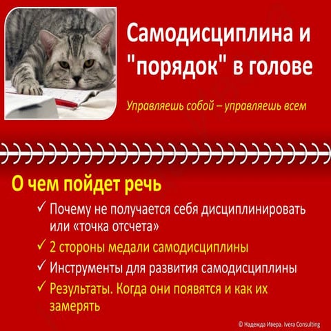 Самодисциплина и "порядок" в голове