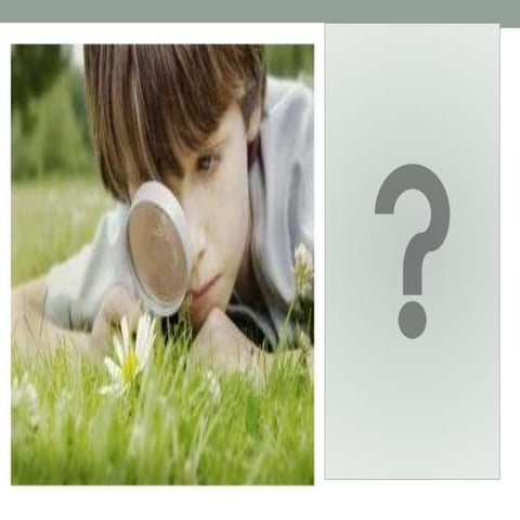 Self directed learning (SDL)