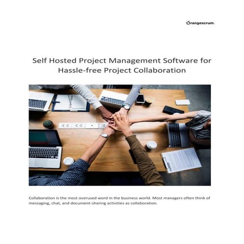 Self Hosted Project Management Software for Hassle.pdf