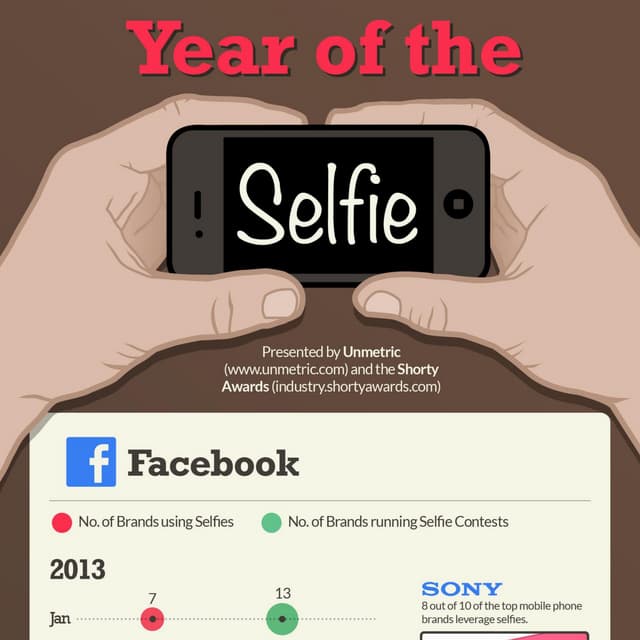 "Year of the Selfie" [INFOGRAPHIC]