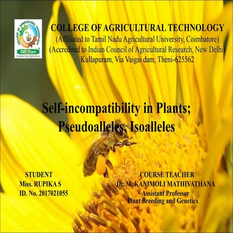 Self incompatability in plants,pseudoalleles and isoalleles
