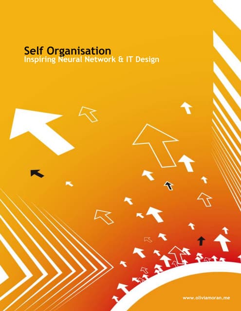 Self Organisation: Inspiring Neural Network & IT Design