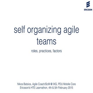 self organizing agile teams