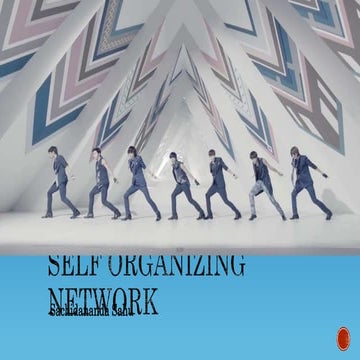 Self Organizing Network