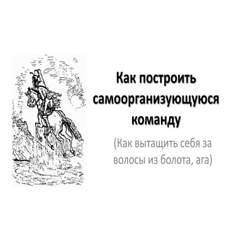 Self Organizing Team