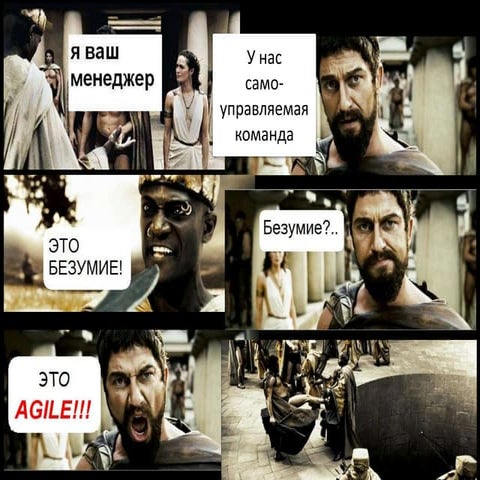 Организация Самоорганизации