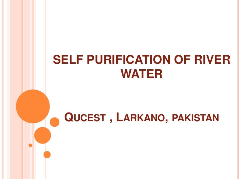 Self purification of river water