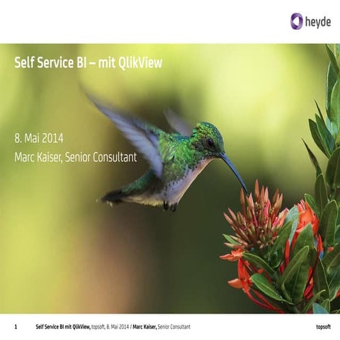 Self Service BI mit Qlik View
