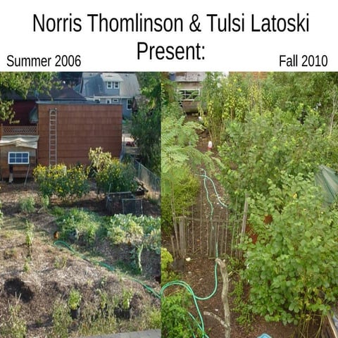 Self Sufficiency, Five Years In