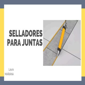 SELLADORES PARA JUNTAS Y COLA DE RATA EN PAVIMENTOS | PDF