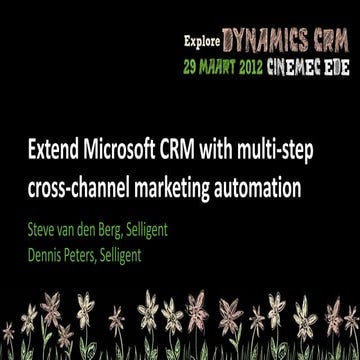 Extend Microsoft CRM - Selligent