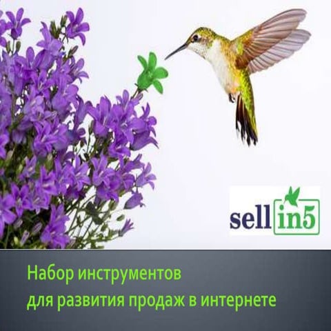 sellin5 - набор инструментов для развития продаж в интернете | PPT