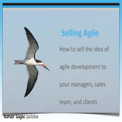 Selling Agile