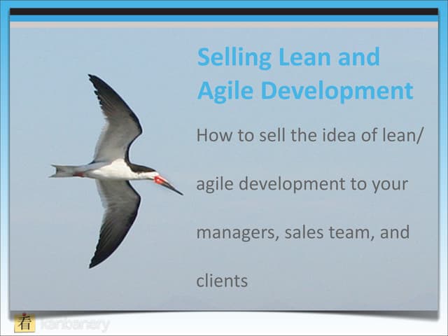 Selling lean development