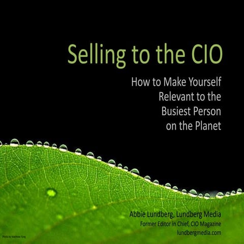 Selling to the CIO