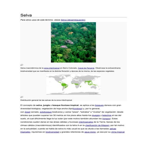 Bioma Selva tropical | PPTX