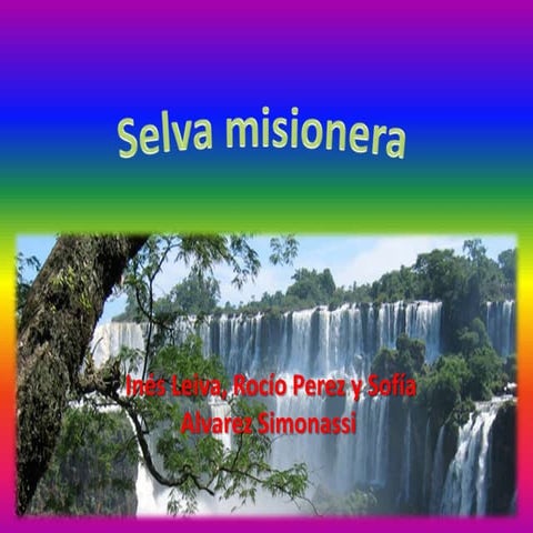 AMBIENTE: Selva 6º B