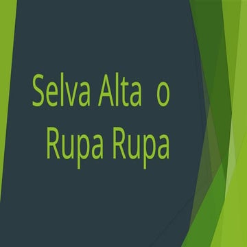 Selva Alta o Rupa Rupa.pptx Javier Vidal | PPTX