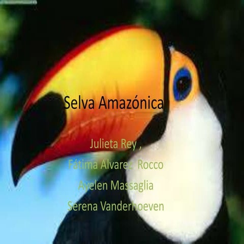 AMBIENTES: Selva Amazónica 6 A