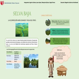 Selva Baja