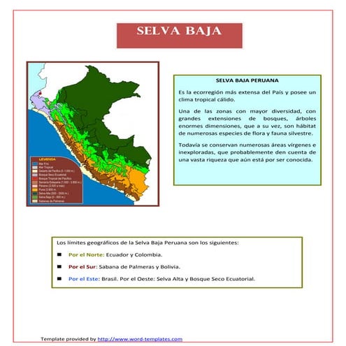 Selva baja
