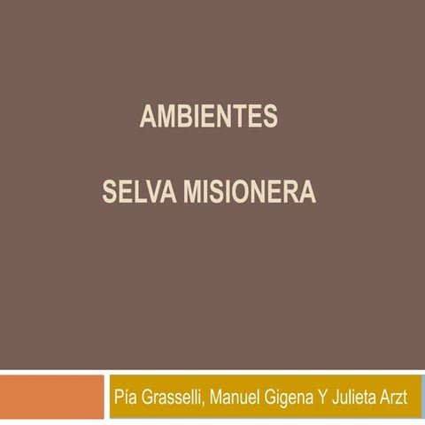 AMBIENTE: Selva misionera 6º A