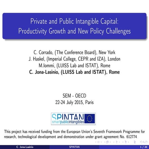 Private and Public Intangible Capital: Productivity Growth and New Policy Cha...