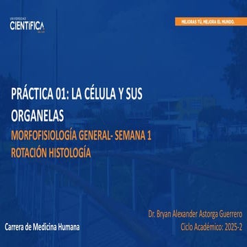 SEM 1.pdf UNIVERSIDAD CIENTIFICA DEL SUR-MEDICINA CICLO 2