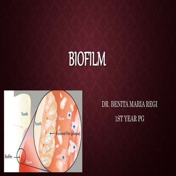  biofilm 