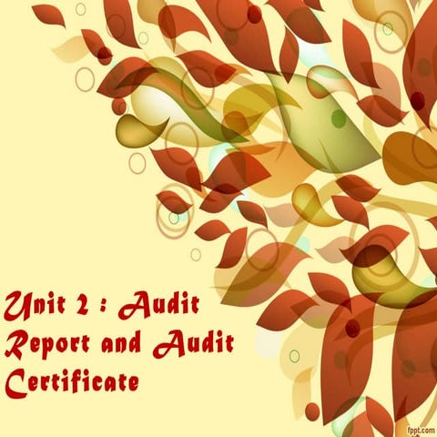 Sem 2 Audit Report