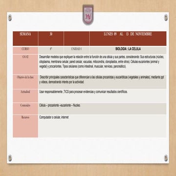 sem30_ccnn_guia.pptx