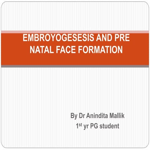 growth and development of face 