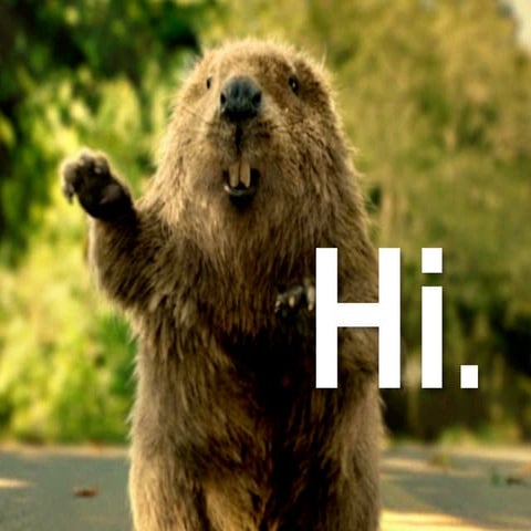 SEMA 2011: "Driving Business with Search Engines" | Automotive Marketing