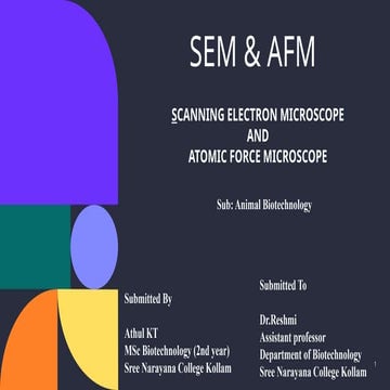 SCANNING ELECTRON MICROSCOPE & ATOMIC FORCE MICROSCOPE | PPTX