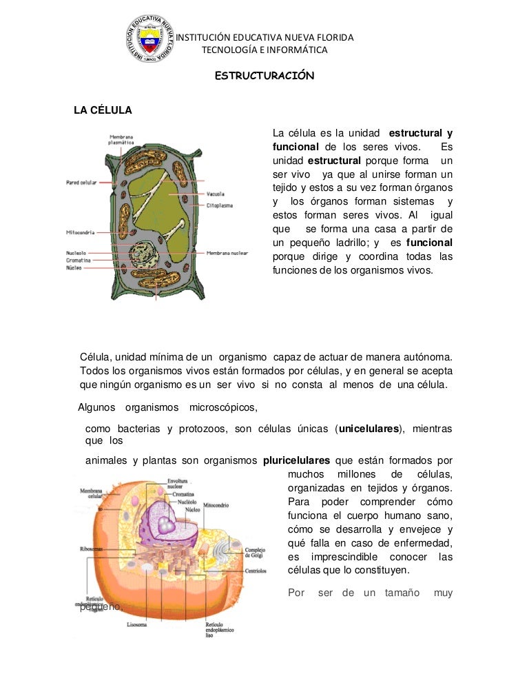 Semana 3 la célula como unidad estructural y funcional