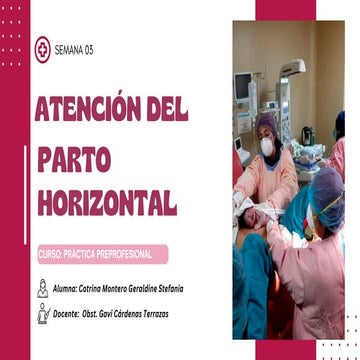 SEMANA 03 PARTO HORIZONTAL ATENCIONDE PARTO | PDF