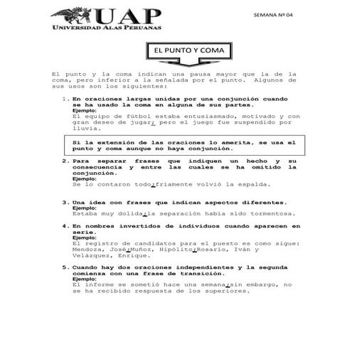 Semana 13 punto, punto y coma
