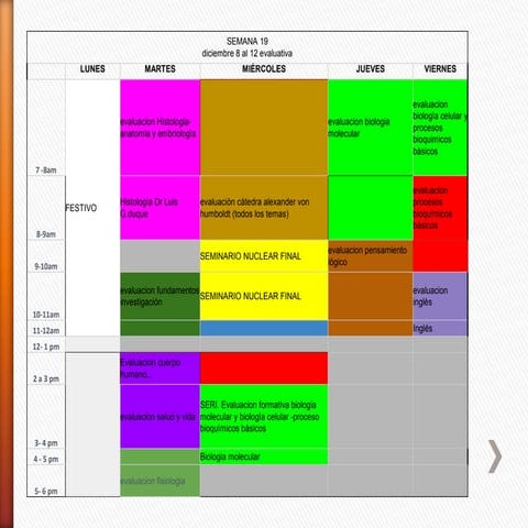 Semana 19 evaluativa