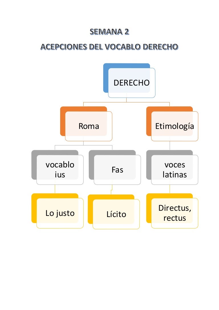 ACEPCIONES DEL VOCABLO DERECHO ACEPCIONES DEL VOCABLO DERECHO