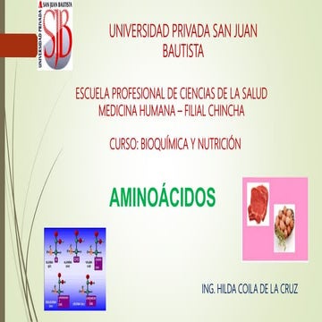 Semana 2 aminoácidos